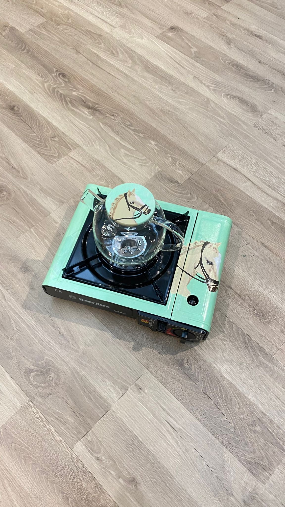 Gas Stove